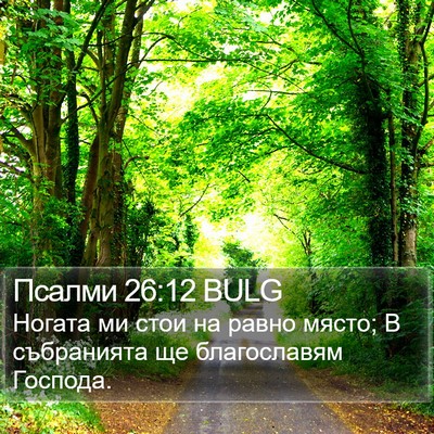 Псалми 26:12 BULG Bible Verse Image