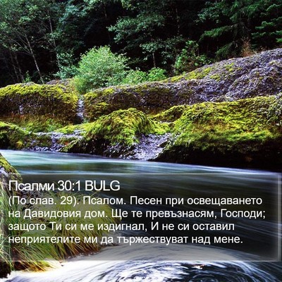 Псалми 30:1 BULG Bible Verse Image