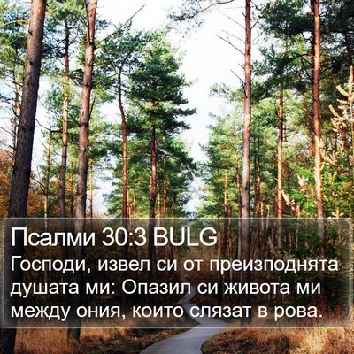 Псалми 30:3 BULG Bible Verse Image