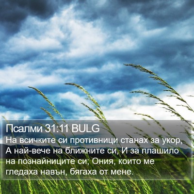 Псалми 31:11 BULG Bible Verse Image