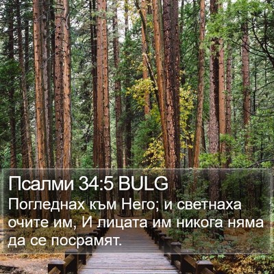 Псалми 34:5 BULG Bible Verse Image
