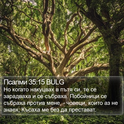 Псалми 35:15 BULG Bible Verse Image