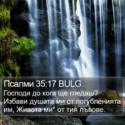 Псалми 35:17 BULG Bible Verse Image