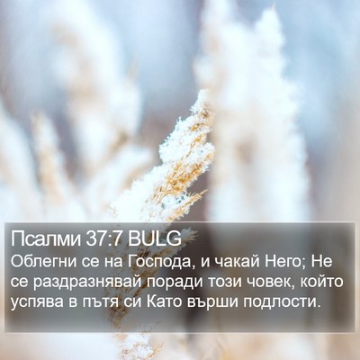 Псалми 37:7 BULG Bible Verse Image