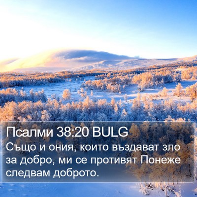 Псалми 38:20 BULG Bible Verse Image