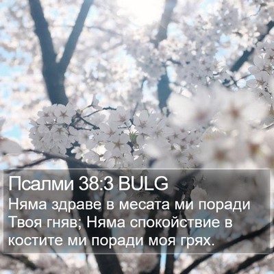 Псалми 38:3 BULG Bible Verse Image