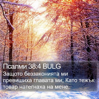Псалми 38:4 BULG Bible Verse Image