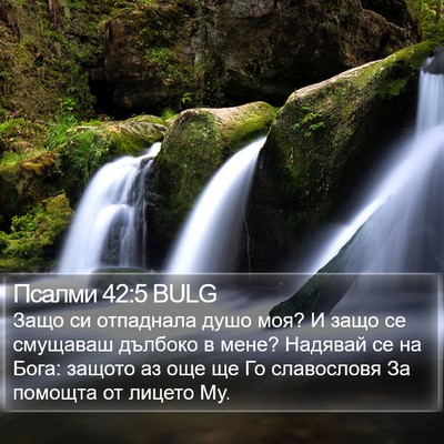 Псалми 42:5 BULG Bible Verse Image
