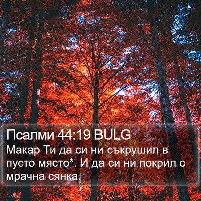 Псалми 44:19 BULG Bible Verse Image