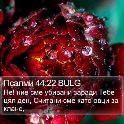 Псалми 44:22 BULG Bible Verse Image