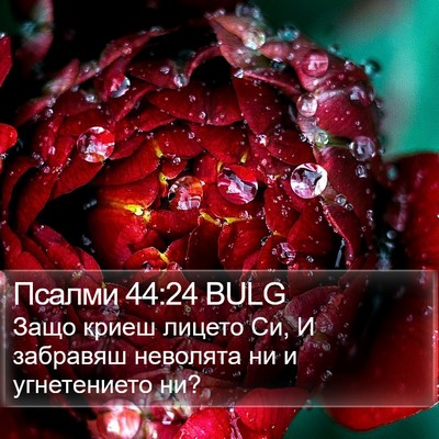 Псалми 44:24 BULG Bible Verse Image