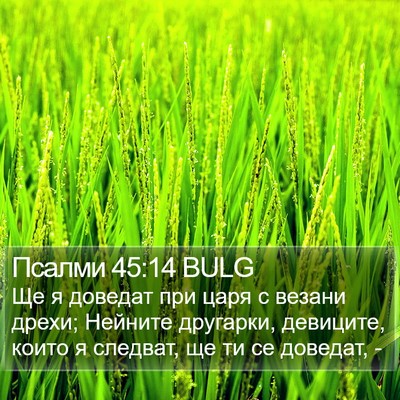 Псалми 45:14 BULG Bible Verse Image