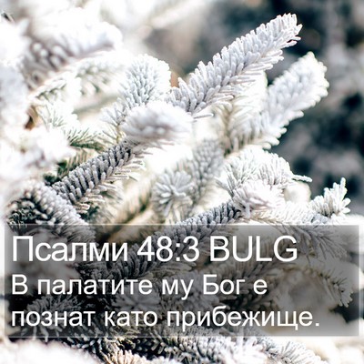 Псалми 48:3 BULG Bible Verse Image