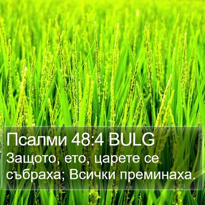 Псалми 48:4 BULG Bible Verse Image