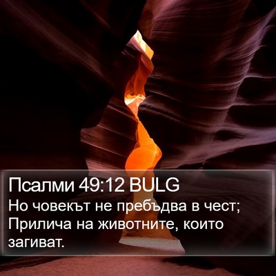 Псалми 49:12 BULG Bible Verse Image