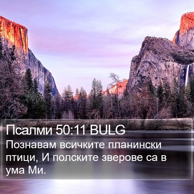 Псалми 50:11 BULG Bible Verse Image