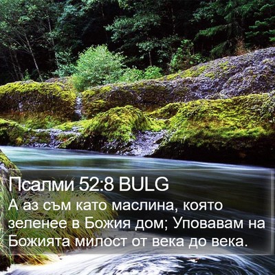 Псалми 52:8 BULG Bible Verse Image