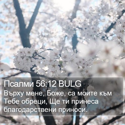 Псалми 56:12 BULG Bible Verse Image