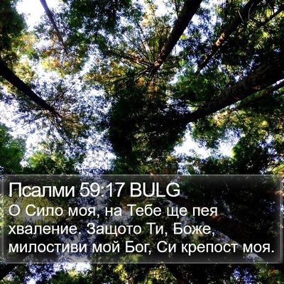 Псалми 59:17 BULG Bible Verse Image