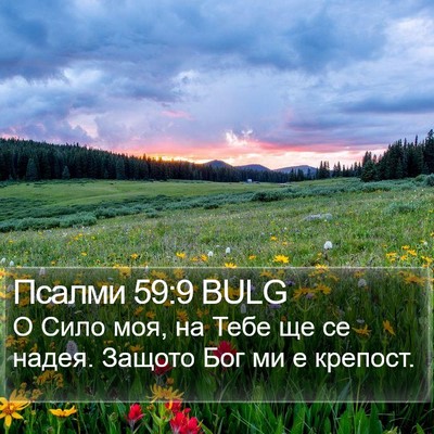 Псалми 59:9 BULG Bible Verse Image