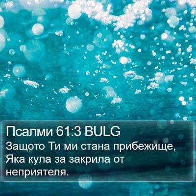 Псалми 61:3 BULG Bible Verse Image