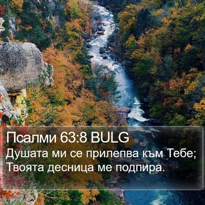 Псалми 63:8 BULG Bible Verse Image