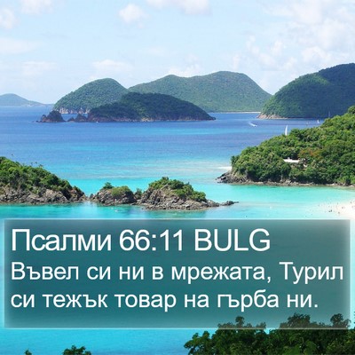Псалми 66:11 BULG Bible Verse Image