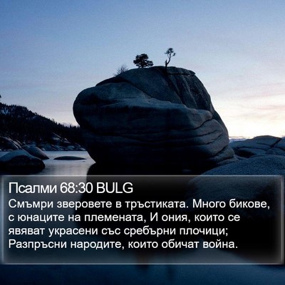 Псалми 68:30 BULG Bible Verse Image