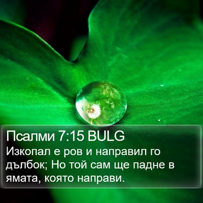 Псалми 7:15 BULG Bible Verse Image