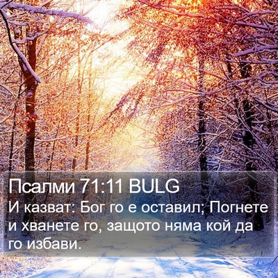 Псалми 71:11 BULG Bible Verse Image