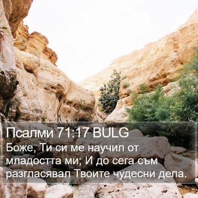 Псалми 71:17 BULG Bible Verse Image