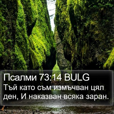 Псалми 73:14 BULG Bible Verse Image