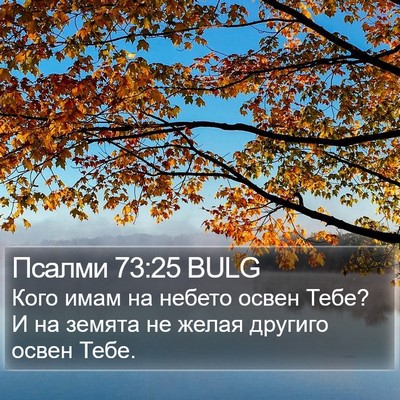 Псалми 73:25 BULG Bible Verse Image