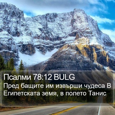 Псалми 78:12 BULG Bible Verse Image
