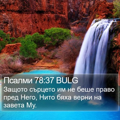 Псалми 78:37 BULG Bible Verse Image