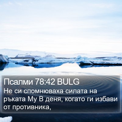 Псалми 78:42 BULG Bible Verse Image