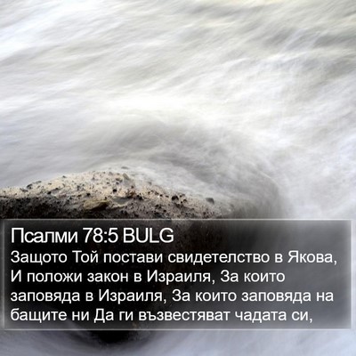 Псалми 78:5 BULG Bible Verse Image