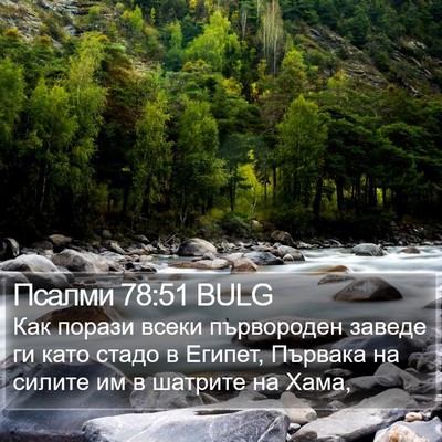 Псалми 78:51 BULG Bible Verse Image