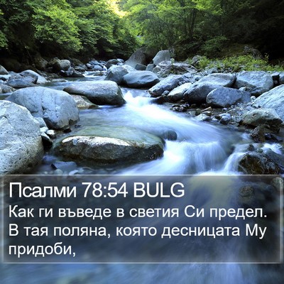 Псалми 78:54 BULG Bible Verse Image