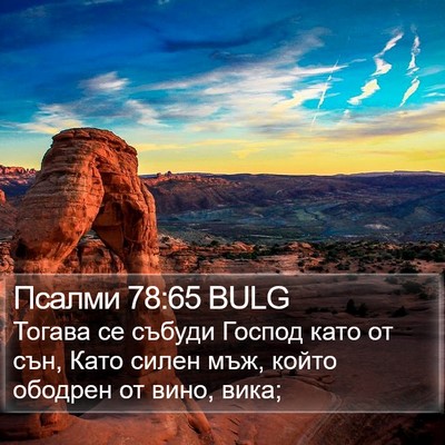 Псалми 78:65 BULG Bible Verse Image