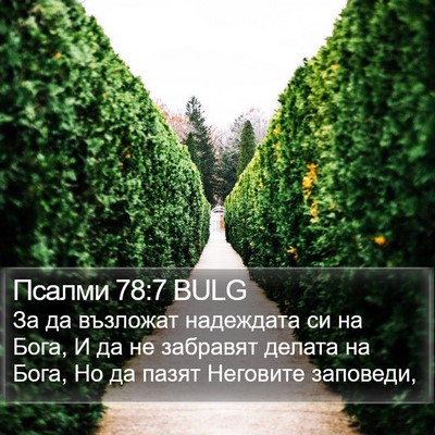 Псалми 78:7 BULG Bible Verse Image