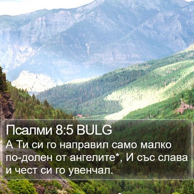 Псалми 8:5 BULG Bible Verse Image