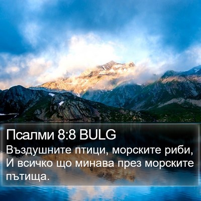 Псалми 8:8 BULG Bible Verse Image