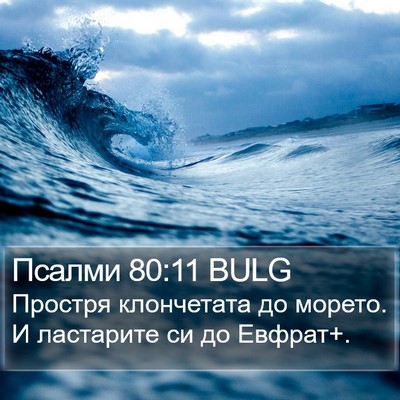Псалми 80:11 BULG Bible Verse Image