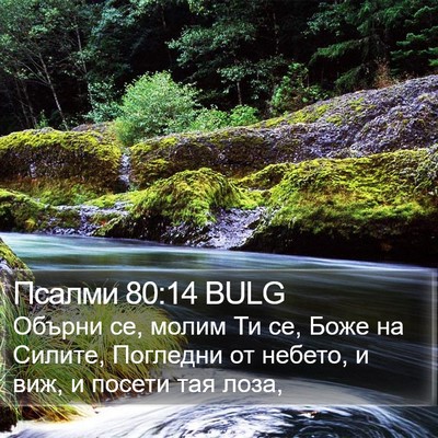 Псалми 80:14 BULG Bible Verse Image