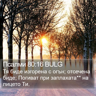 Псалми 80:16 BULG Bible Verse Image