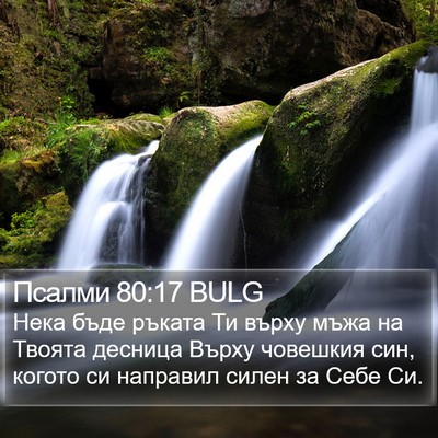 Псалми 80:17 BULG Bible Verse Image