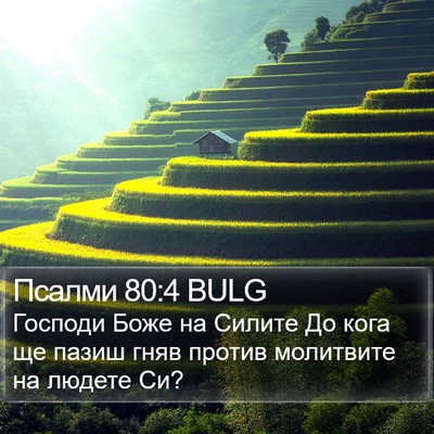 Псалми 80:4 BULG Bible Verse Image