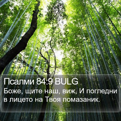 Псалми 84:9 BULG Bible Verse Image