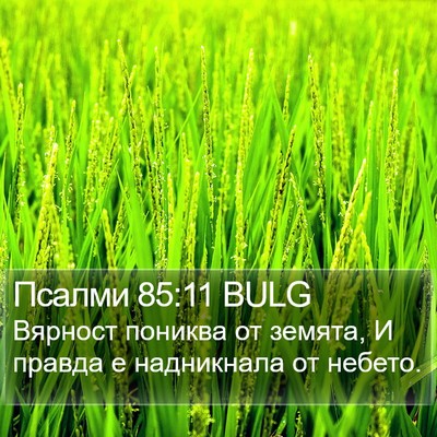 Псалми 85:11 BULG Bible Verse Image